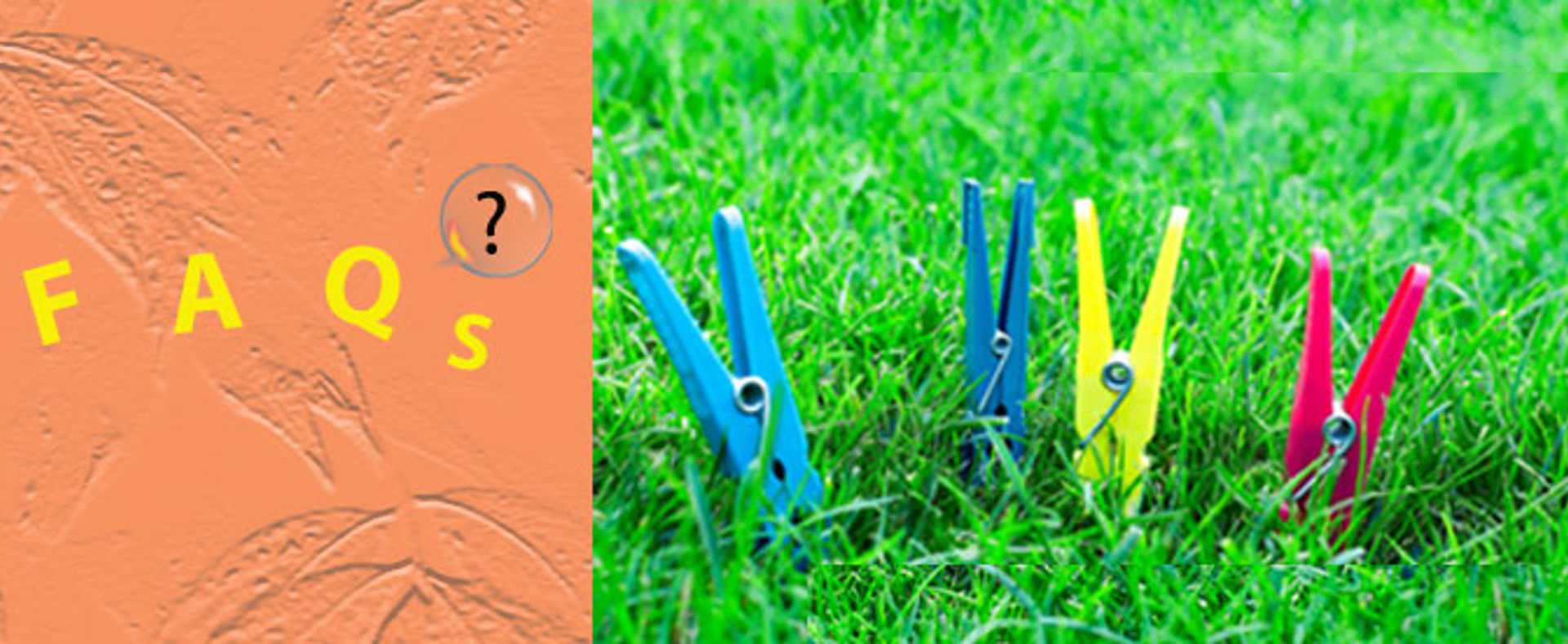 F A Q Clothespins In Grass Min